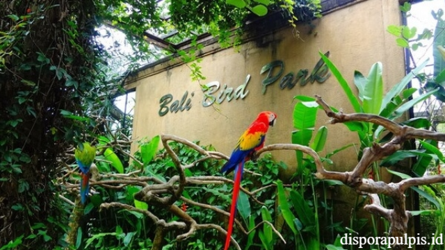 Wisata Konservasi Burung Terbesar di Bali Bird Park