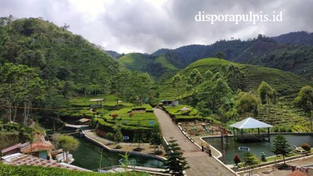 Rekomendasi Tempat Wisata Indah Dan Terbaik Di Brebes